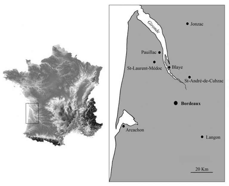 Situation géographique de la localité de Blaye (Gironde) (© researchgate.net)