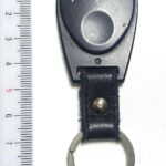 Speedpass+ pour le Japon. Type porte-clés. (© Wikipédia)