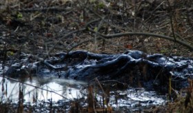 Remontée naturelle de brut en pleine nature