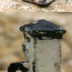 Pompe blanche (GB) années 40 (© amlgc17.fr)