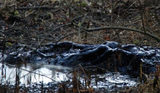 Remontée naturelle de brut en pleine nature