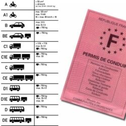 Les neuf catégories de permis de conduire (© auto-ecole-assur.com)